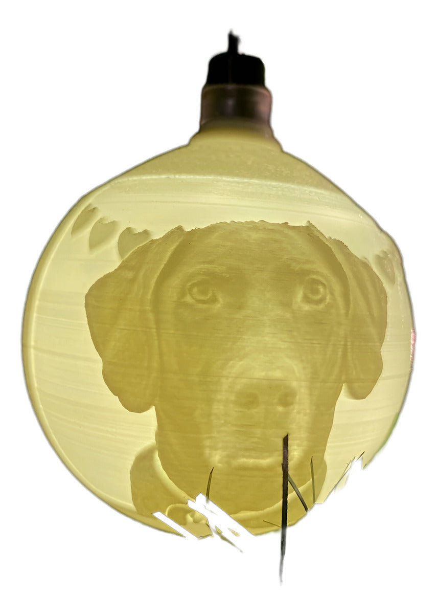 Esferas Con Foto Personalizadas - Arbol De Navidad - 10 Pzas Blanco Litoesferas