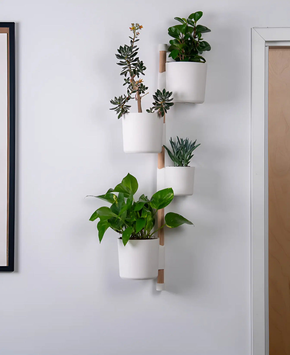 Soporte Para Plantas De Interior - 1 Metro -Set De 4 Macetas Blanco Riel V2